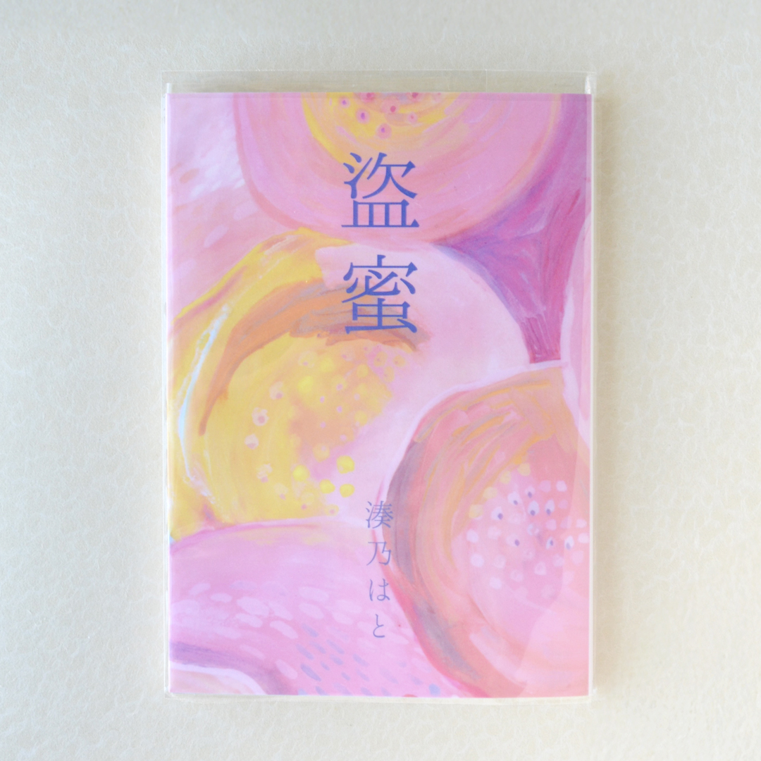 「盗蜜」湊乃はと（波間文庫）2024